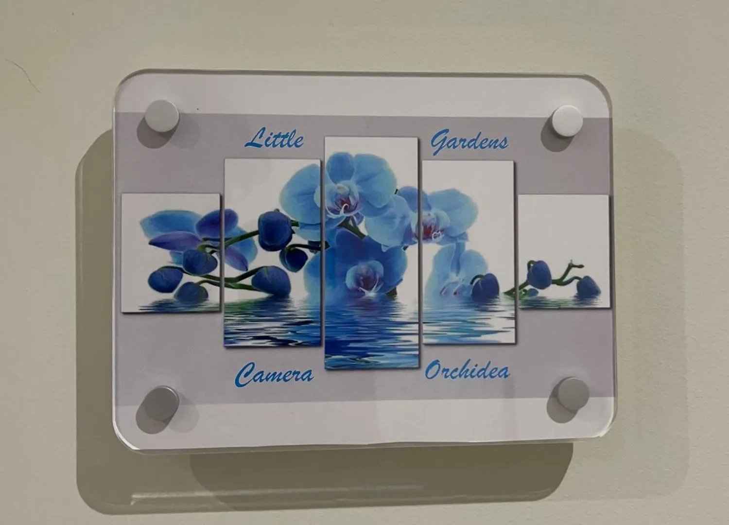 Little Gardens Guest House 罗马 意大利