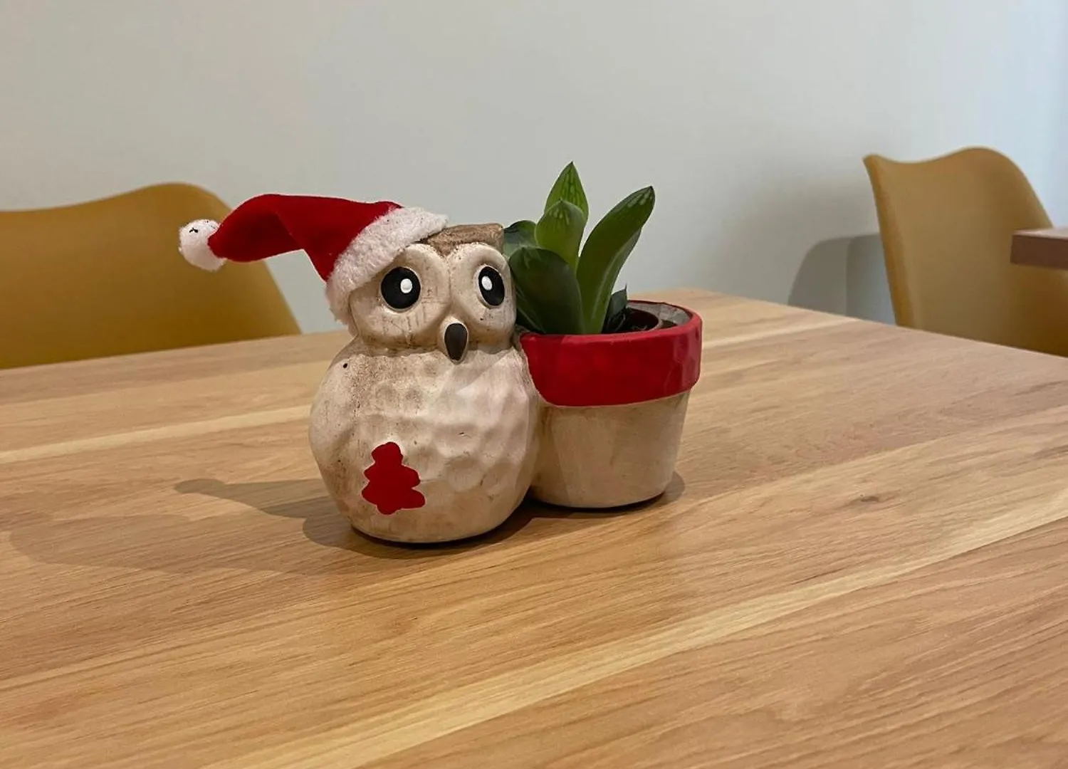 Little Gardens Guest House 罗马 意大利